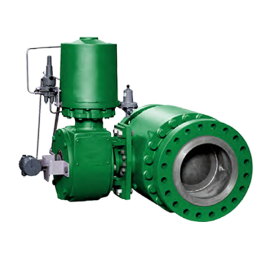 Fisher? V260 控制阀