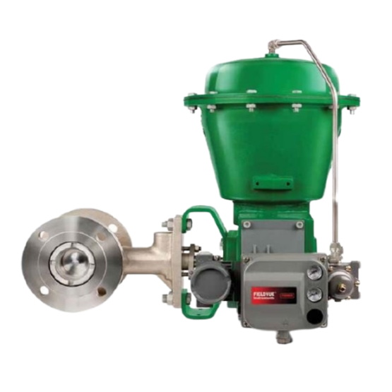 Fisher? V250 控制阀