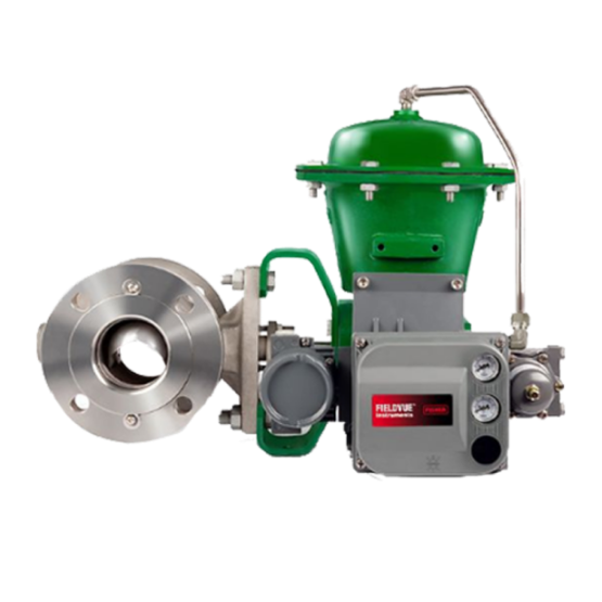 Fisher? Vee-Ball? V300 法兰控制阀