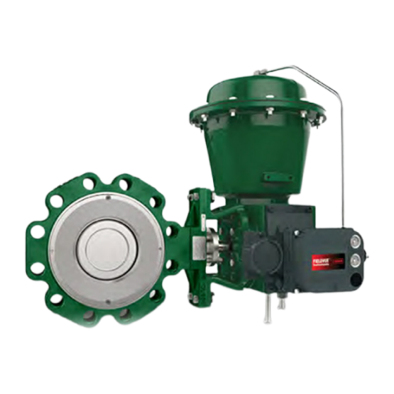 Fisher? 8590 高性能蝶阀