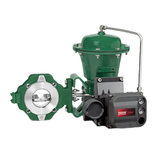 Fisher? 8580 高性能蝶阀