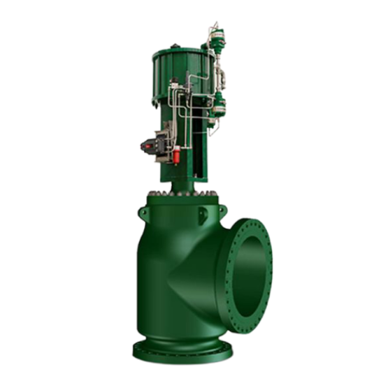 Fisher? FB 焊接式角阀