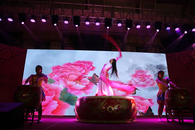 leyu·乐鱼（中国）集团2016年会 